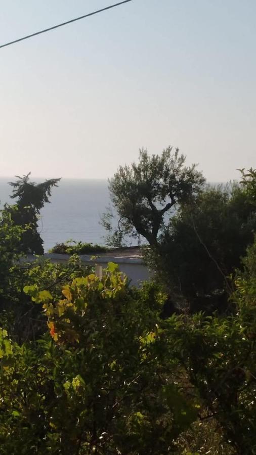 Mullaj Guest House Vlora Kültér fotó