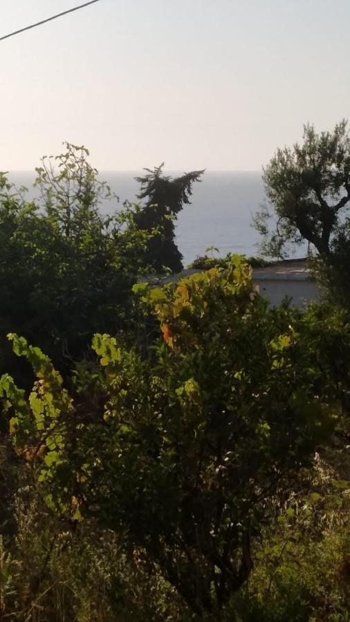 Mullaj Guest House Vlora Kültér fotó